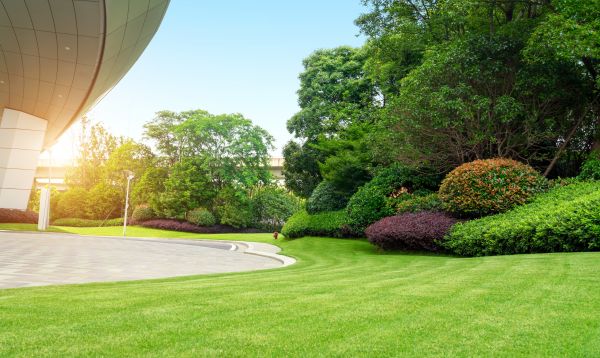 Cost of Commercial Lawn Mowing in Snohomish