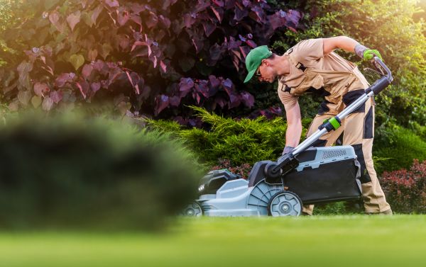 Cost of Lawn Care And Maintenance in Snohomish
