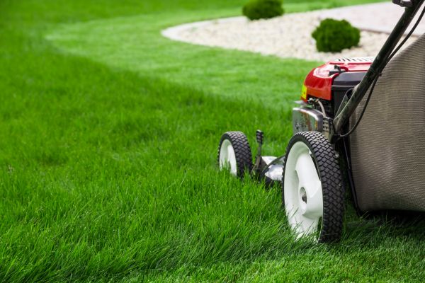 Cost of Lawn Cutting Service in Snohomish