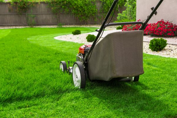 Cost of Lawn Mowing in Snohomish