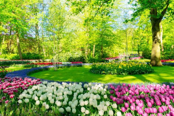 Cost of Spring Lawn Care in Snohomish