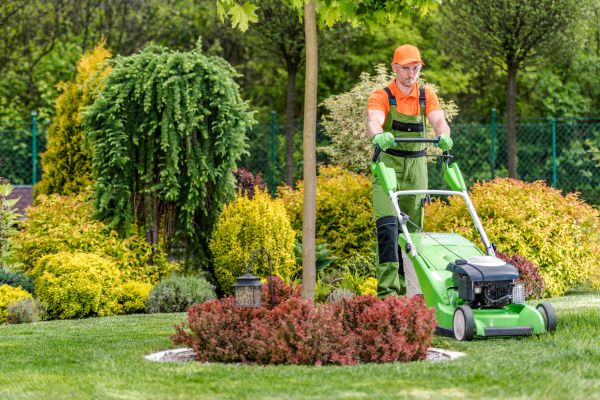 Cost of Commercial Yard Maintenance in Snohomish