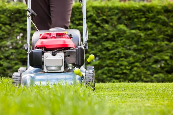 Cost of Grass Trimming Service in Snohomish