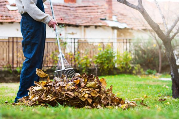 Cost of Routine Lawn Maintenance in Snohomish