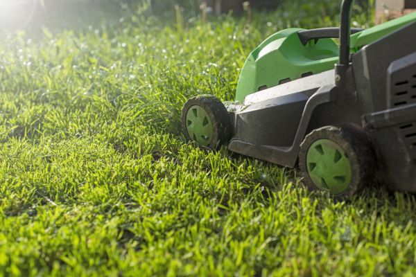 Cost of Lot Mowing in Snohomish
