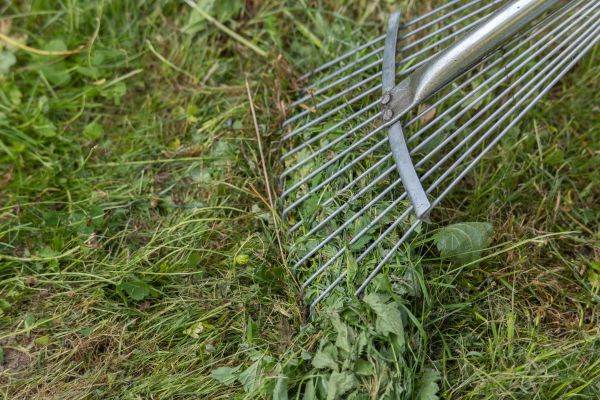 Cost of Thatch Raking in Snohomish