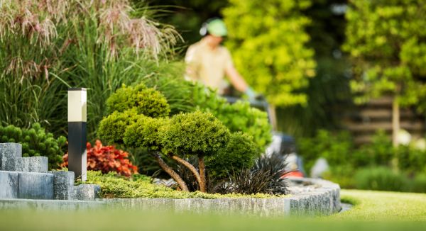 Cost of Residential Yard Maintenance in Snohomish