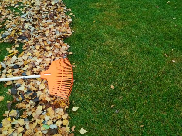 Cost of Fall Lawn Care in Snohomish