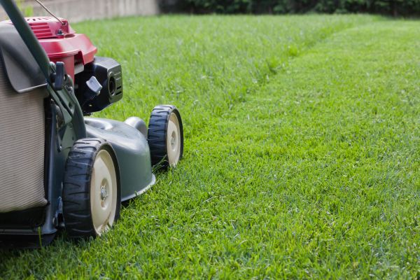 Cost of Spring Lawn Maintenance in Snohomish