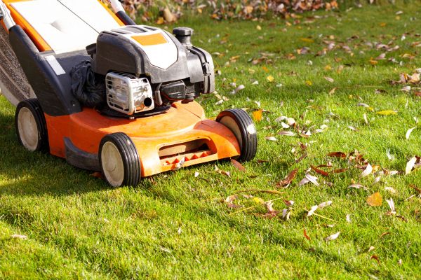 Cost of Fall Mowing in Snohomish