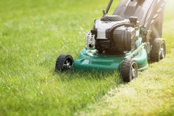 Cost of Spring Grass Trimming in Snohomish