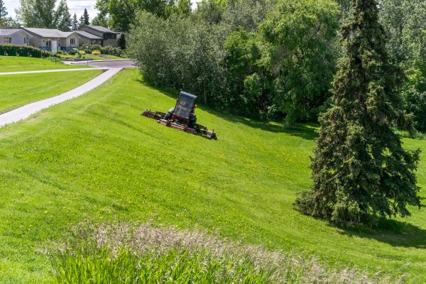 Cost of Sloped Area Mowing in Snohomish