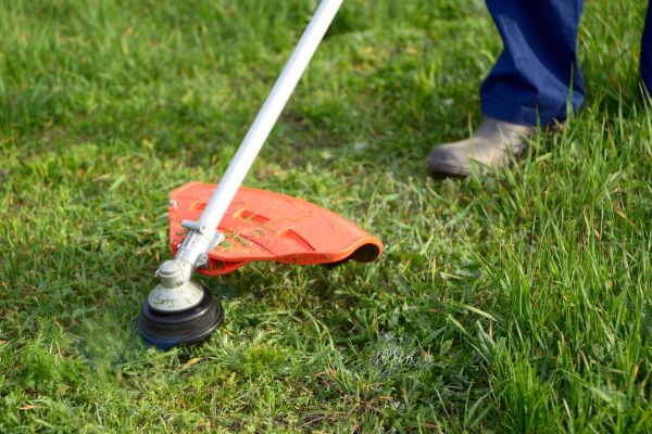 Cost of Lawn Weed Whacking in Snohomish