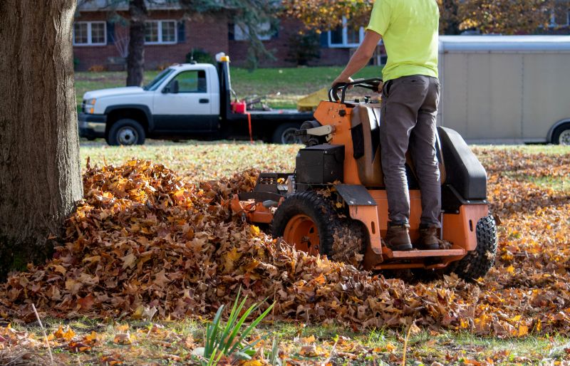 Fall Mowing