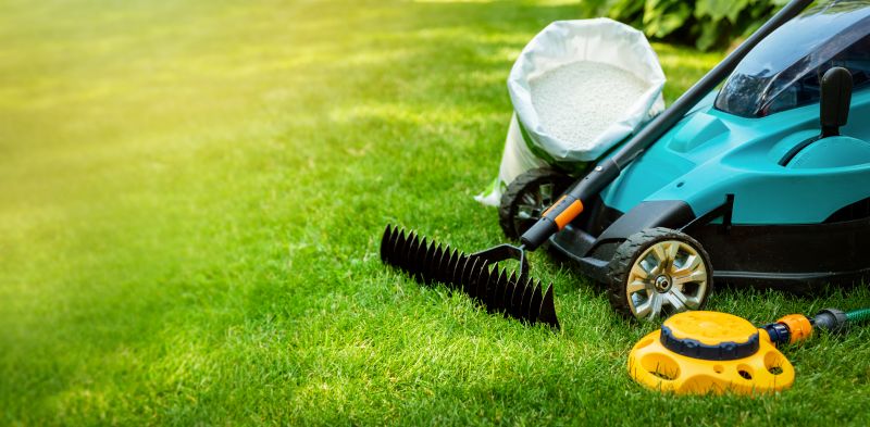 Lawn Care And Maintenance